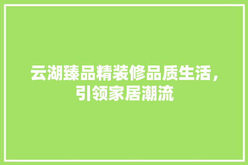 云湖臻品精装修品质生活，引领家居潮流