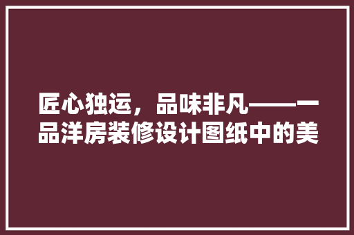 匠心独运，品味非凡——一品洋房装修设计图纸中的美学与智慧