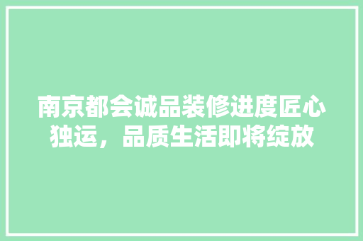 南京都会诚品装修进度匠心独运，品质生活即将绽放