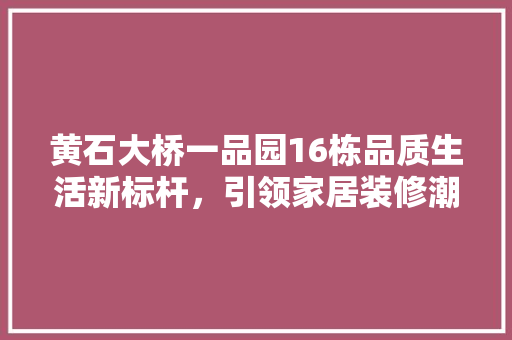 黄石大桥一品园16栋品质生活新标杆，引领家居装修潮流