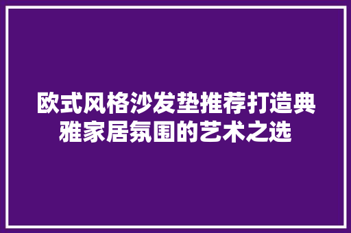 欧式风格沙发垫推荐打造典雅家居氛围的艺术之选