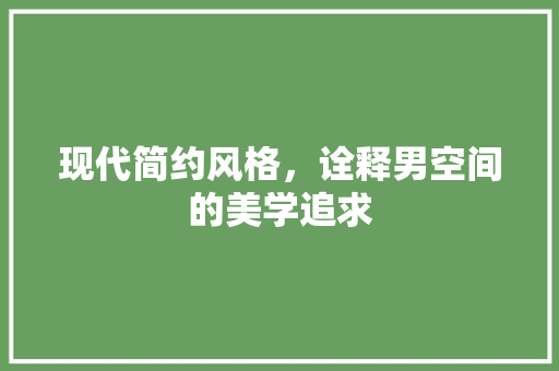 现代简约风格，诠释男空间的美学追求