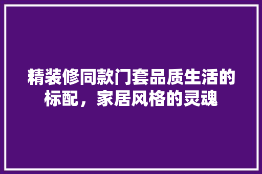 精装修同款门套品质生活的标配，家居风格的灵魂