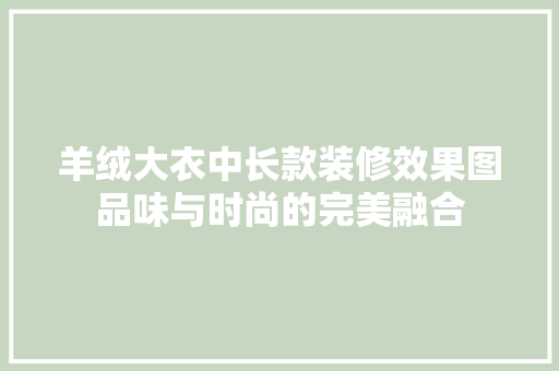 羊绒大衣中长款装修效果图品味与时尚的完美融合
