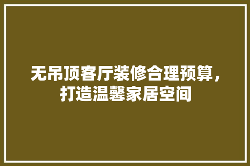 无吊顶客厅装修合理预算，打造温馨家居空间 常用设备