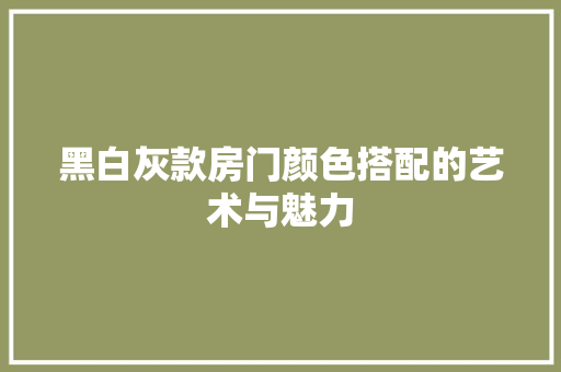 黑白灰款房门颜色搭配的艺术与魅力