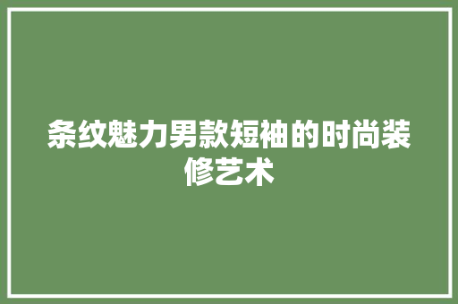 条纹魅力男款短袖的时尚装修艺术