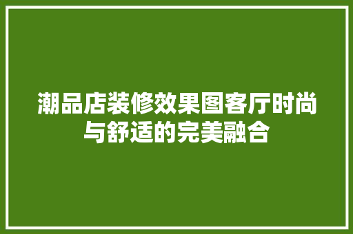 潮品店装修效果图客厅时尚与舒适的完美融合