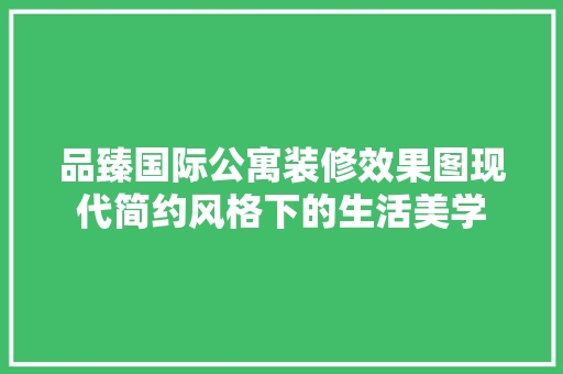 品臻国际公寓装修效果图现代简约风格下的生活美学 材料设备