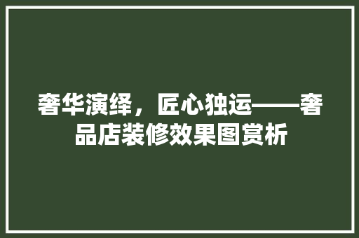 奢华演绎，匠心独运——奢品店装修效果图赏析