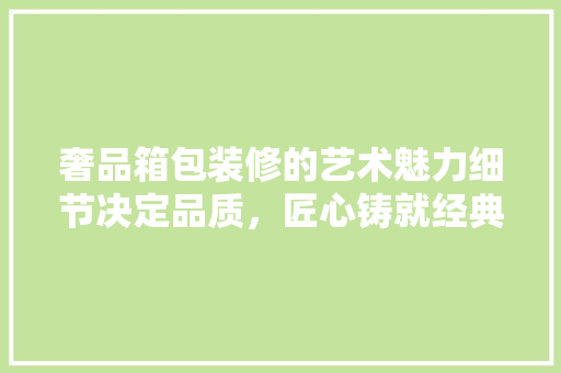 奢品箱包装修的艺术魅力细节决定品质，匠心铸就经典 常见问题