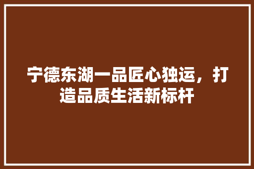 宁德东湖一品匠心独运，打造品质生活新标杆