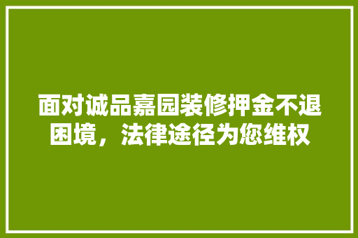 面对诚品嘉园装修押金不退困境，法律途径为您维权 工艺流程