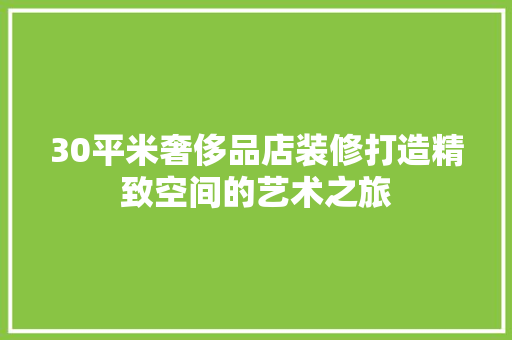 30平米奢侈品店装修打造精致空间的艺术之旅