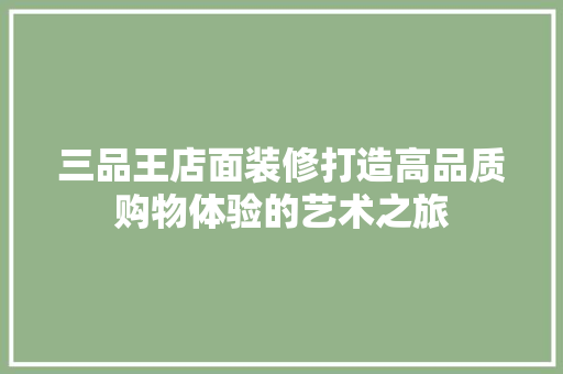 三品王店面装修打造高品质购物体验的艺术之旅