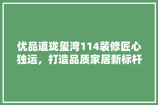 优品道珑玺湾114装修匠心独运，打造品质家居新标杆 施工技术