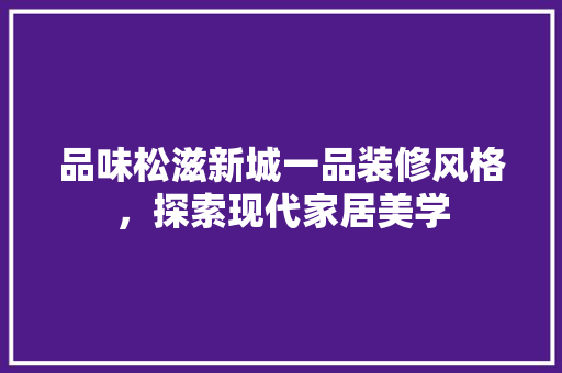 品味松滋新城一品装修风格，探索现代家居美学
