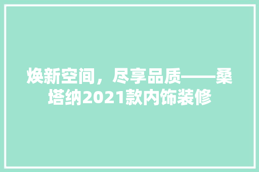 焕新空间，尽享品质——桑塔纳2021款内饰装修