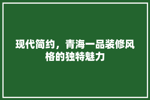 现代简约，青海一品装修风格的独特魅力