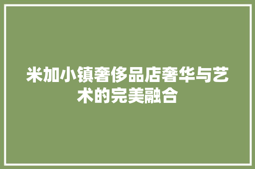 米加小镇奢侈品店奢华与艺术的完美融合