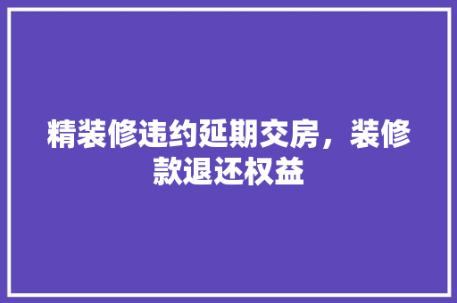 精装修违约延期交房，装修款退还权益 设计原则