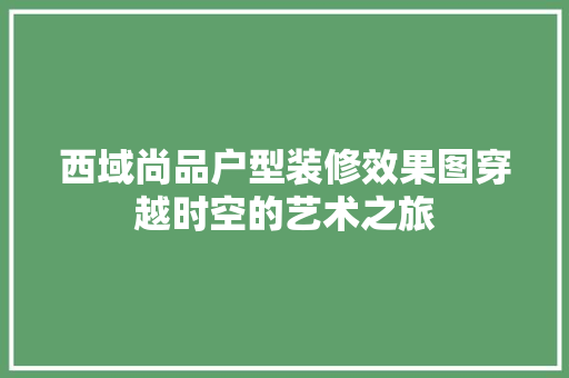 西域尚品户型装修效果图穿越时空的艺术之旅 施工工艺