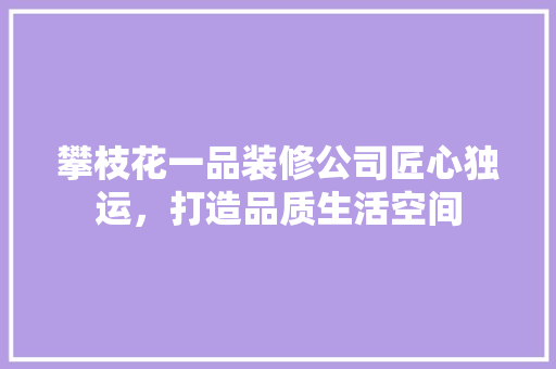 攀枝花一品装修公司匠心独运，打造品质生活空间