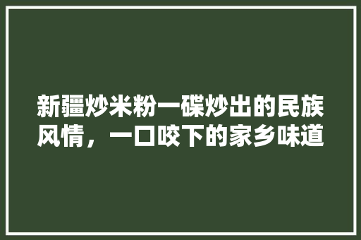 新疆炒米粉一碟炒出的民族风情，一口咬下的家乡味道