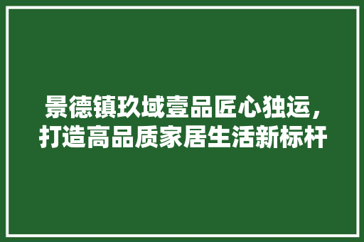 景德镇玖域壹品匠心独运，打造高品质家居生活新标杆