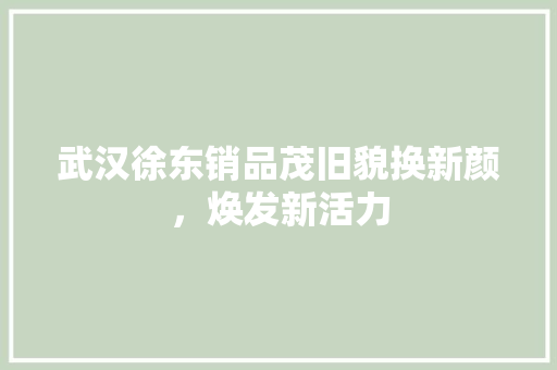 武汉徐东销品茂旧貌换新颜，焕发新活力