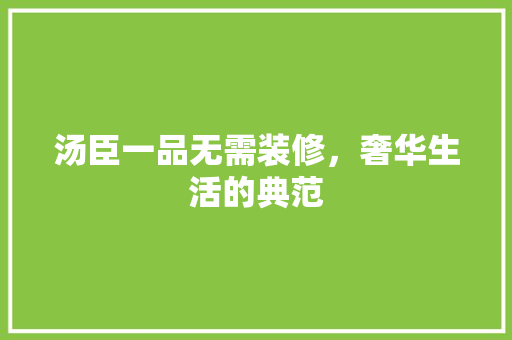 汤臣一品无需装修，奢华生活的典范