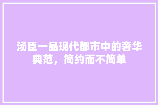 汤臣一品现代都市中的奢华典范，简约而不简单
