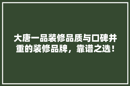 大唐一品装修品质与口碑并重的装修品牌，靠谱之选！