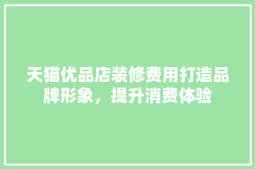 天猫优品店装修费用打造品牌形象，提升消费体验