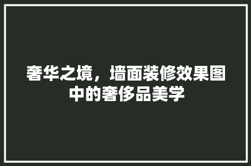 奢华之境，墙面装修效果图中的奢侈品美学