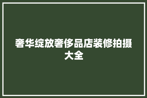 奢华绽放奢侈品店装修拍摄大全