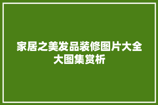 家居之美发品装修图片大全大图集赏析 施工技术