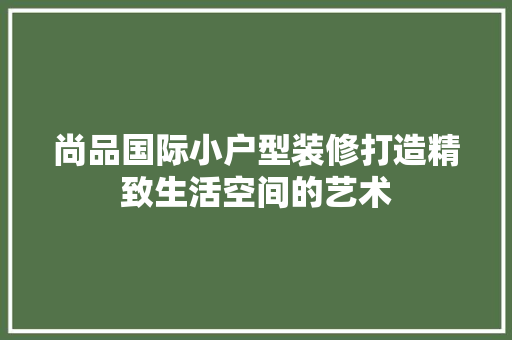 尚品国际小户型装修打造精致生活空间的艺术 施工技术