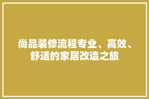 尚品装修流程专业、高效、舒适的家居改造之旅