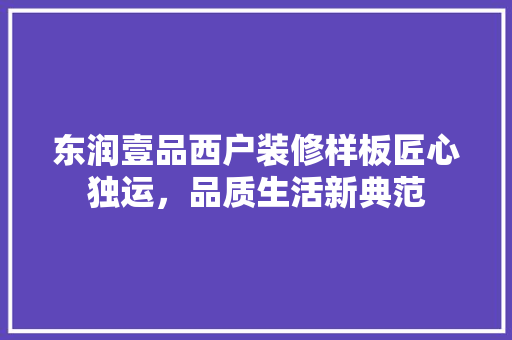 东润壹品西户装修样板匠心独运，品质生活新典范 工艺流程