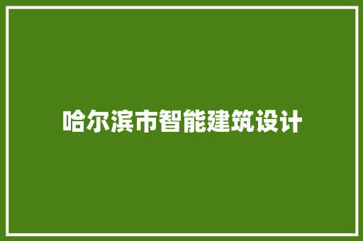 哈尔滨市智能建筑设计