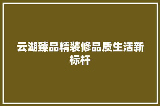 云湖臻品精装修品质生活新标杆