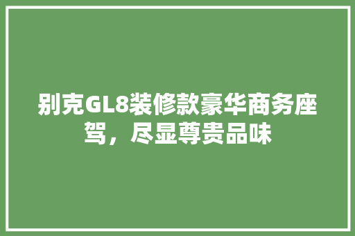 别克GL8装修款豪华商务座驾，尽显尊贵品味