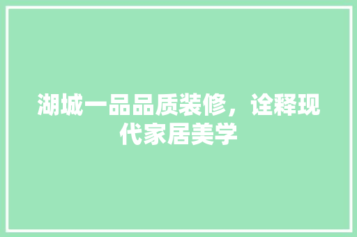 湖城一品品质装修，诠释现代家居美学 常用建材