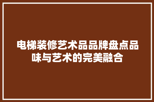 电梯装修艺术品品牌盘点品味与艺术的完美融合