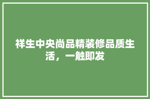 祥生中央尚品精装修品质生活，一触即发
