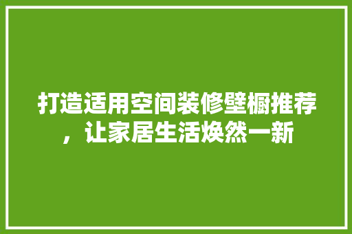 打造适用空间装修壁橱推荐，让家居生活焕然一新