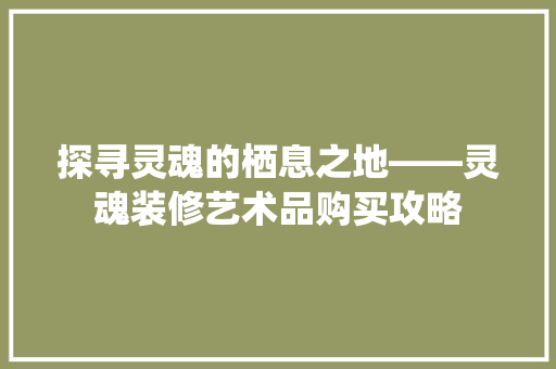 探寻灵魂的栖息之地——灵魂装修艺术品购买攻略