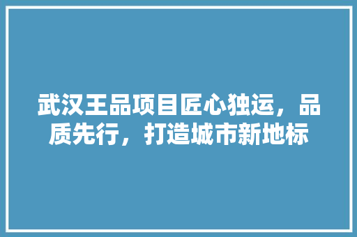 武汉王品项目匠心独运，品质先行，打造城市新地标
