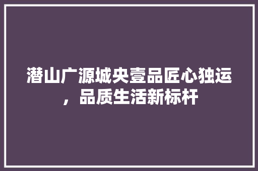 潜山广源城央壹品匠心独运，品质生活新标杆 建筑设计